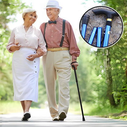Baton de marche pour promenade