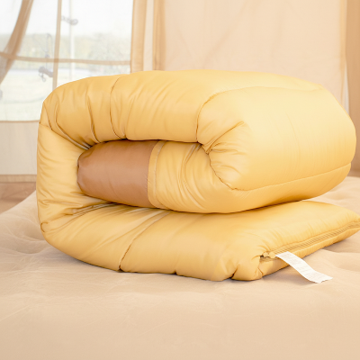 sac de couchage 2 personnes replié dans une tente